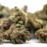 Green and brown strawberry cheesecake small thca flower buds with dense frosty texture in hemp flower form
