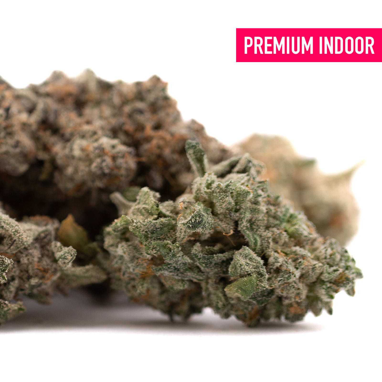 Dried cannabis flower buds with purple coloration from Street Tarts Indoor THCa Flower Wholesale