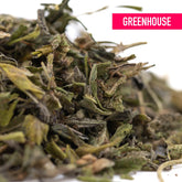 Dried cannabis leaves of studio 54 greenhouse thca trim in green and brown hues covered in fine trichomes with cultural branding