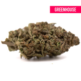 Studio 54’s green hemp flower bud with purple trichomes, mood brightening