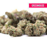 Subzero thca hemp flower greenhouse smalls with dense frosty buds and purple orange trichomes for body-melting effects