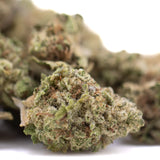A dense green sugar thca greenhouse smallts bud with frosty white trichomes and brown pistils