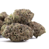 Mossy green and purple-tinged sugar thca hemp flower with dense frost texture highlighting greenhouse thca and terpene profile