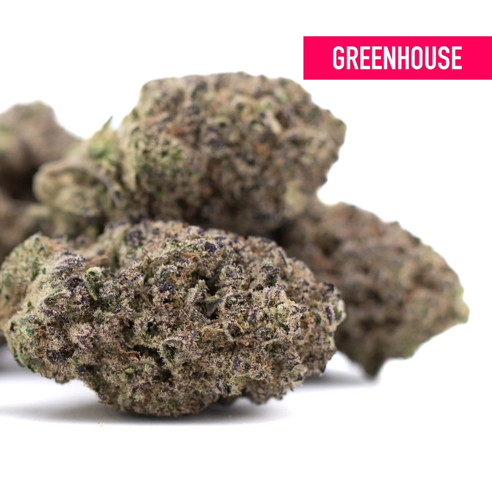Greenhouse sugar thca hemp flower buds with dense texture and green and purple shades featuring legendary cinderella