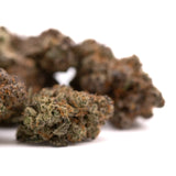 Dried Super Runtz Indoor THCa Flower with trichomes and orange hairs, orchard swirl synergy