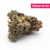 Super Sonic Indoor THCa Flower - 5g - Plants