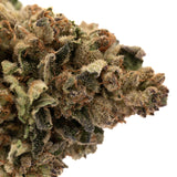 Super Sonic THCa Flower Full-Term - Plants