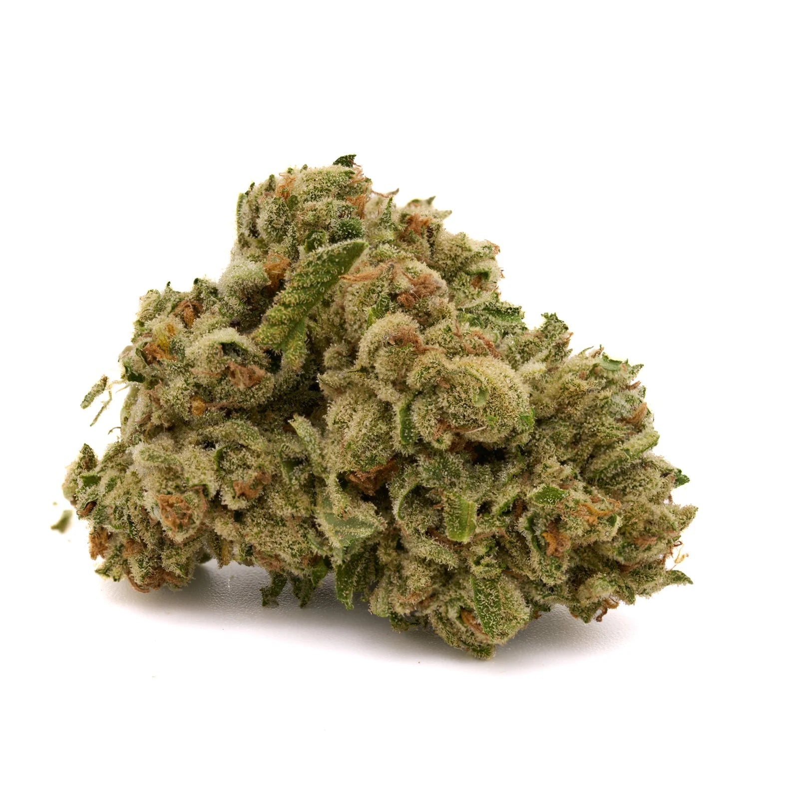 Tangelo THCa Hemp Flower - Plants