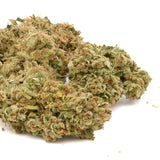 Tangelo THCa Hemp Flower Wholesale - Plants