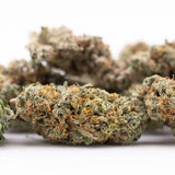 Thai OG THCa hemp flower bud with green leaves and orange trichomes