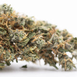 Premium Thai OG THCa hemp flower bud with dense trichomes