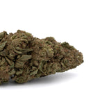 Thin Mint Cookies THCa Flower