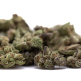 Top Gun THCa Flower Smalls Full-Term