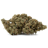 TriCross THCa Flower: Oregon THCa flower bud with green leaves and white trichomes