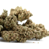 Premium TriCross THCa Flower with exotic three-way genetics and dense trichomes