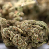 Premium TriCross THCa smalls: green bud with trichomes