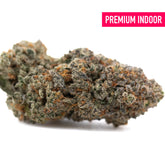 A dense tropical punch indoor thca flower bud with green and orange hues covered in frosty trichomes and northern lights accents