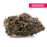 A dense tropical punch greenhouse thca flower hemp bud with green and brown hues and fine trichomes highlighting terpene profiles