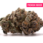 Dense Tropical Paradise Indoor THCa Flower with vibrant green purple orange hues and frosty trichomes