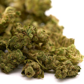 Tune CBD Hemp Flower Smalls - Plants