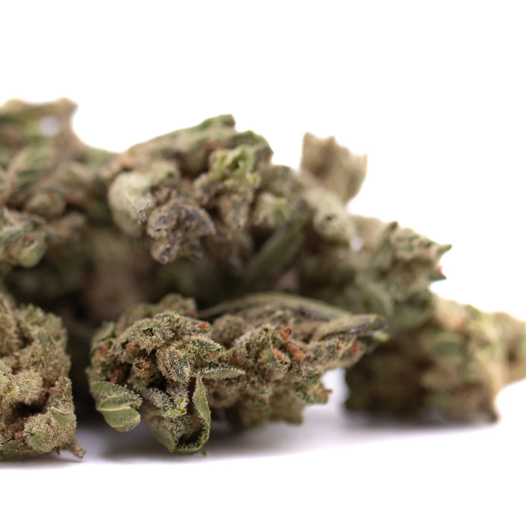 Dense green turtle taffy thca flower smalls hemp flower bud with textured surface and visible trichomes