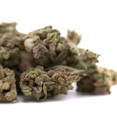 Dense green turtle taffy thca flower smalls hemp flower bud with textured surface and visible trichomes