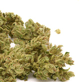 Vanilla Frosting THCA Hemp Flower