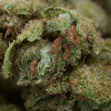 Dense Vanilla Frosting THCa Hemp Flower with trichomes and pistils, dessert cannabis strain