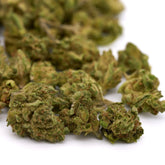 Vanilla Frosting THCa Smalls Hemp Flower - Plants
