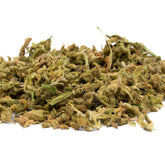 Vanilla Frosting THCa Trim Wholesale 1LB - 1 LB - Plants