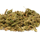 Vanilla Frosting THCa Trim Wholesale 1LB - 1 LB - Plants
