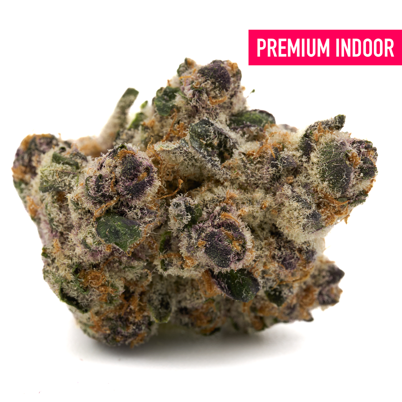 Wedding Cheesecake Indoor THCa Flower with dense trichome-covered purple and green cannabis bud