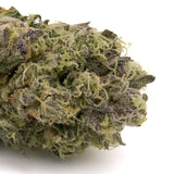 Wedding Crasher THCa Hemp Flower Greenhouse - Plants