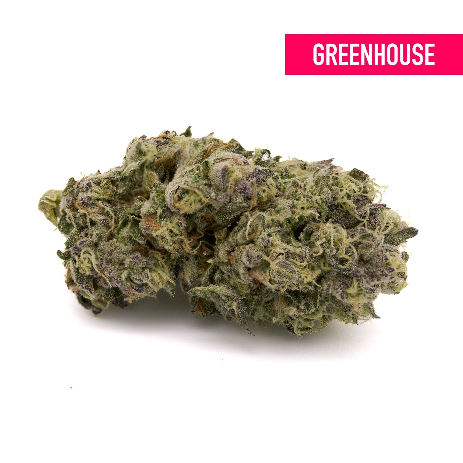 Wedding Crasher THCa Hemp Flower Greenhouse - Plants