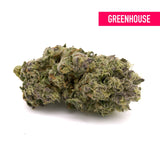 Wedding Crasher THCa Hemp Flower Greenhouse - Plants