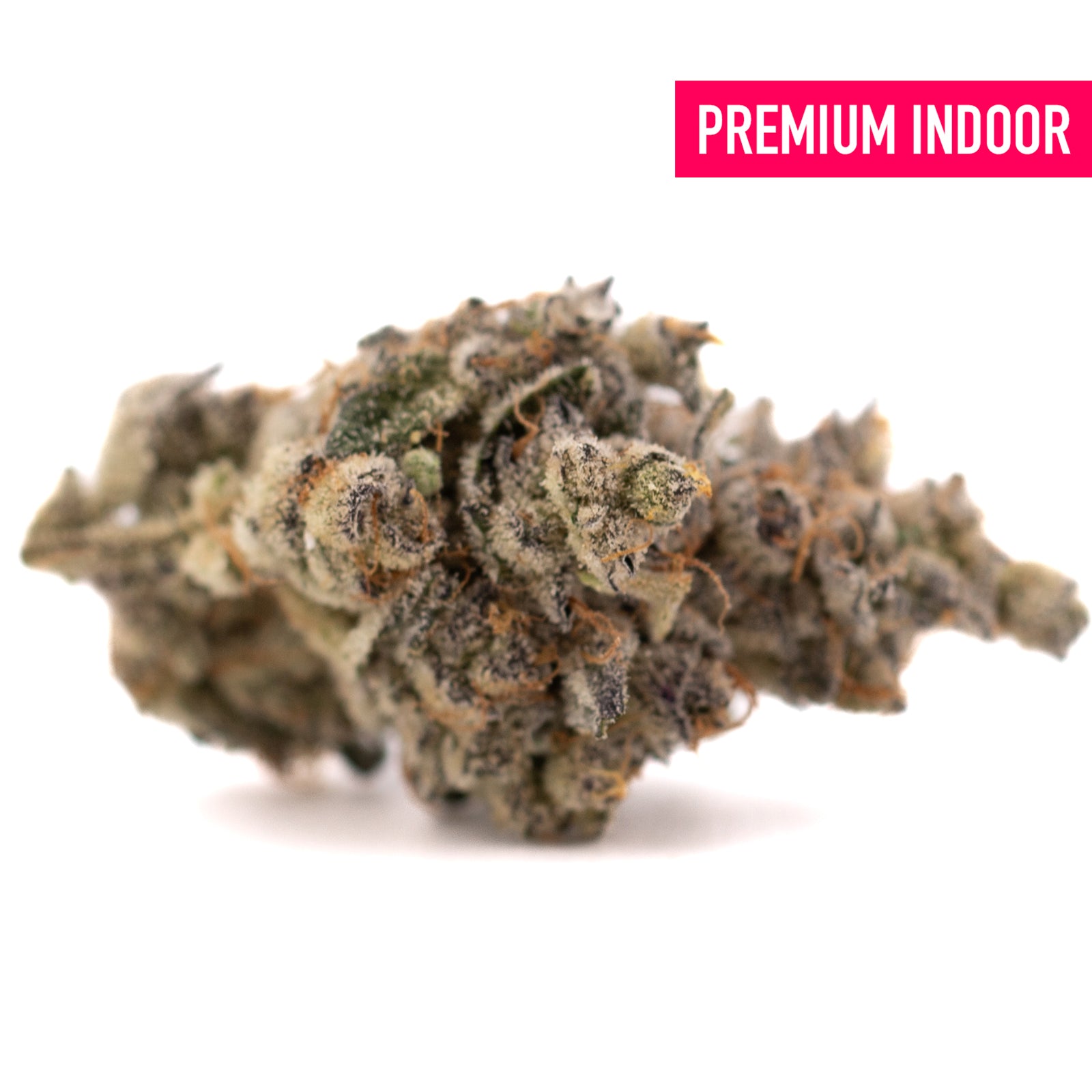 Frosty White Runtz THCa flower with purple and orange hues showcasing hybrid experience