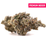 Frosty White Runtz THCa flower with purple and orange hues showcasing hybrid experience