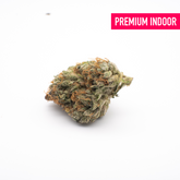 White Runtz THCa Flower Wholesale - 1/2lb - Plants