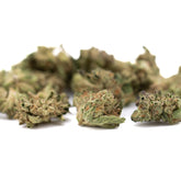 White Runtz THCa hemp flower full-term smalls with light green buds and orange hairs