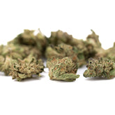 White Runtz THCa hemp flower full-term smalls with light green buds and orange hairs