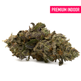 White Truffle Indoor THCa Flower hemp flower with purple and green hues and dense trichomes