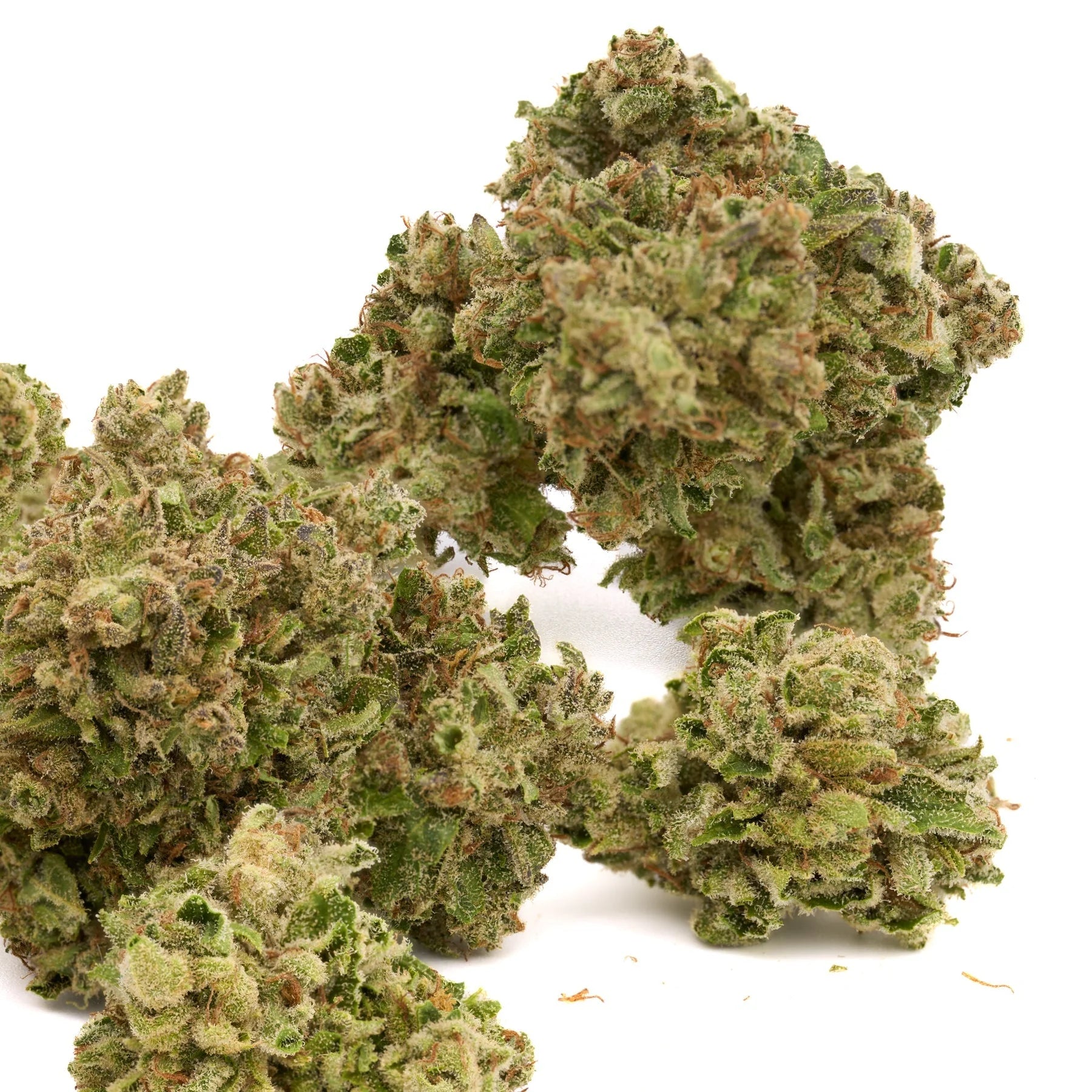 White Truffle THCa Flower showcasing orchard-lime synergy with green, orange, and purple buds