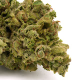 Dense white truffle THCa flower with vibrant green hues and orange pistils, orchard-lime synergy