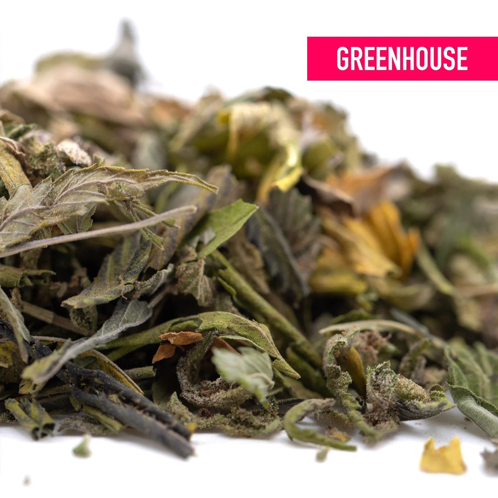 A pile of dried green and yellow zkittlez cross greenhouse thca trim leaves with tropical citrus candy-sweet flavor