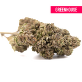Green Zkittlez Cross THCa hemp flower bud with purple trichomes