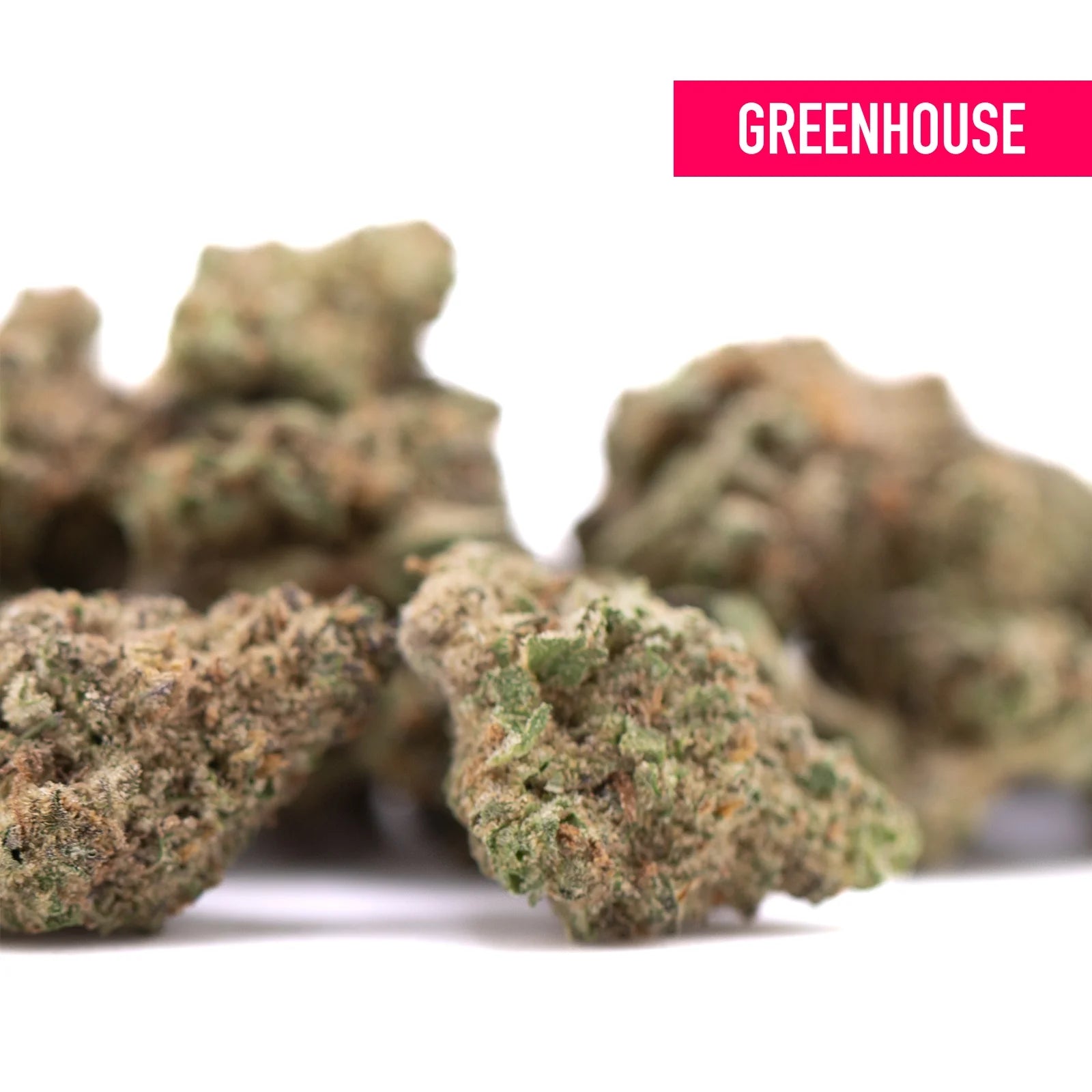 Greenhouse brand Zonkers THCa Smalls cannabis buds with dense green and brown texture featuring lemony sour lemon notes
