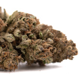 Premium Zonkers THCa hemp flower bud with dense trichomes