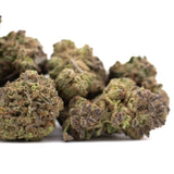 Green and purple-tinged dense frosty cannabis buds of zushi thca hemp flower greenhouse with tropical flavor