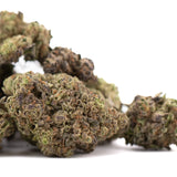 Mature zushi thca hemp flower greenhouse buds with dense textured surface green brown and purple hues tropical flavor
