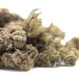 A dense resinous zushi thca small hemp flower with green and brown hues covered in tropical terpene trichomes